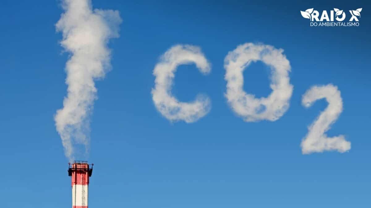 Entendendo um pouco sobre o dióxido de carbono (CO2) e seus impactos no meio-ambiente