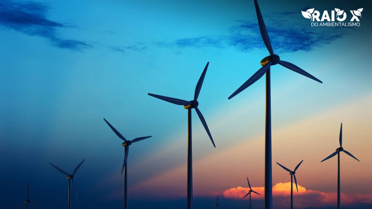 Energia Eólica: energia limpa para quem?