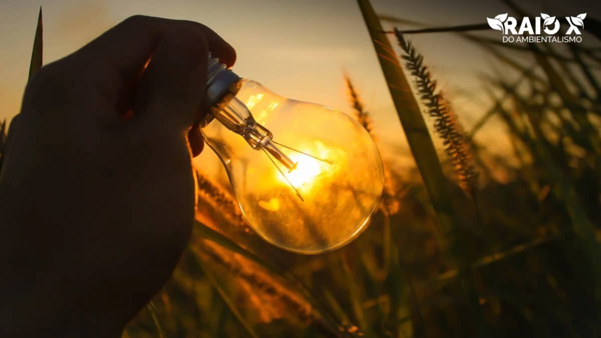 Por que os democratas querem tanto energias renováveis?