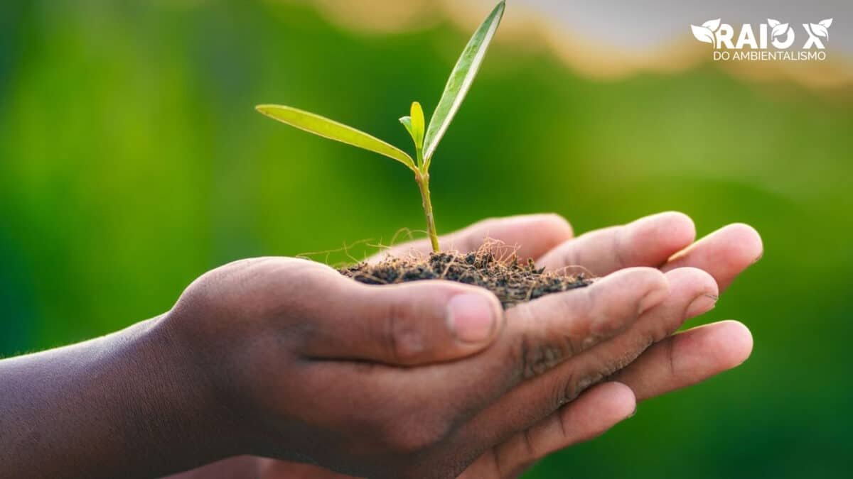 ESG e o ataque ao agro e segurança alimentar brasileiras