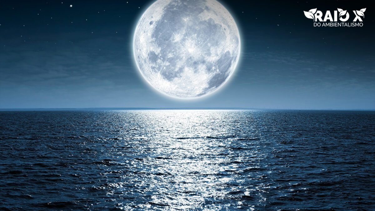 Influência das placas tectônicas e da Lua sobre o nível do mar