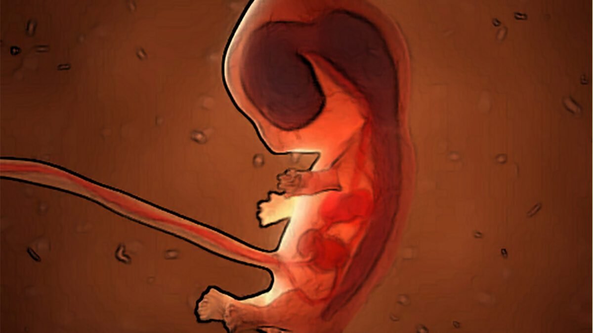 O que os olhos veem, o coração se enraivece