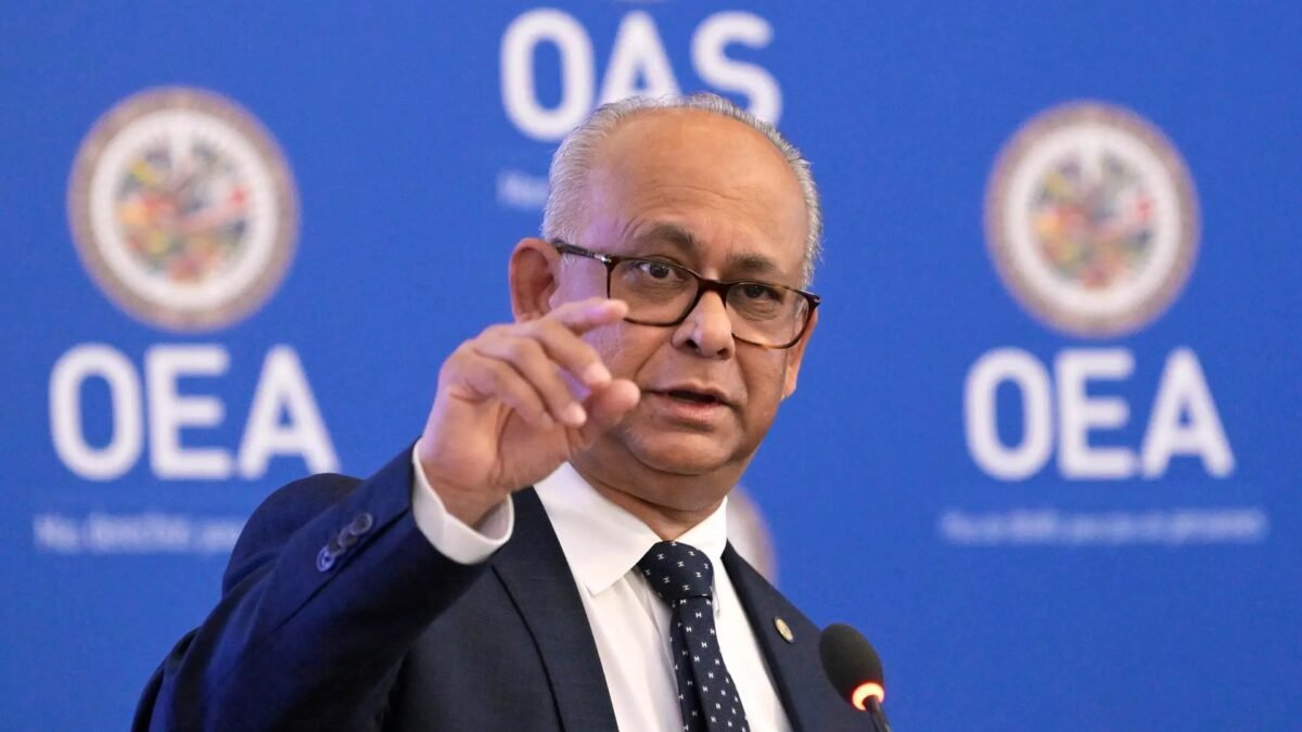 A Organização dos Estados Americanos (OEA) tem futuro? O paradoxo da irrelevância escolhida